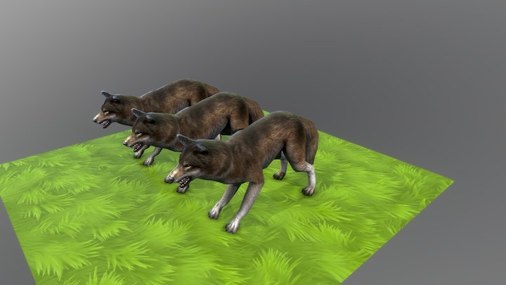 Wolf Attack Animations 3D Model