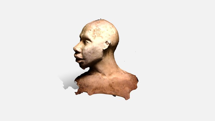 beeld 3D Model