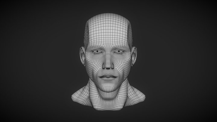 Head Topology 3D Model