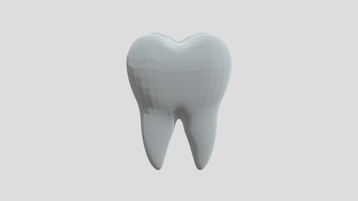 Tooth 3D Model