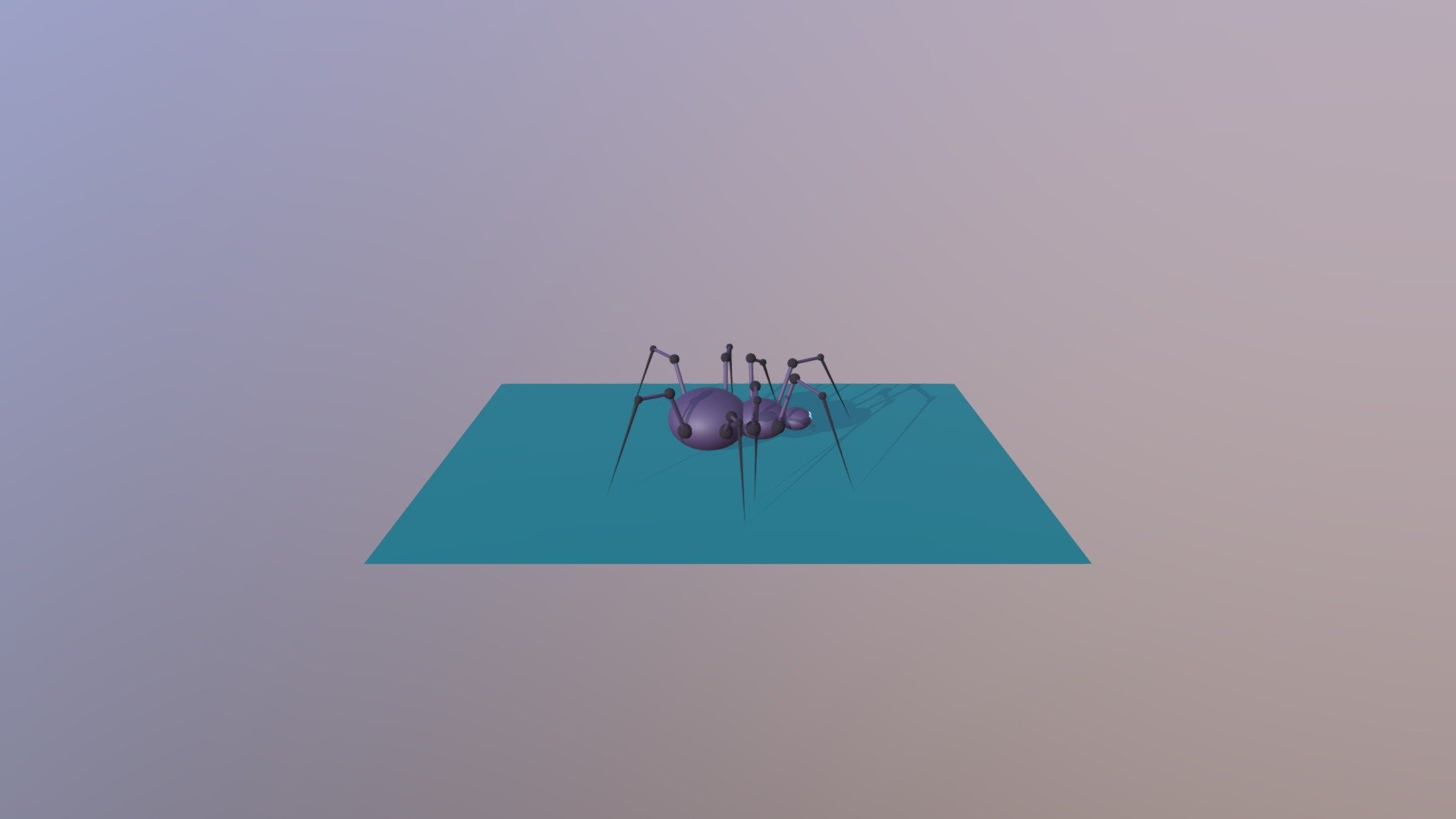 Spider