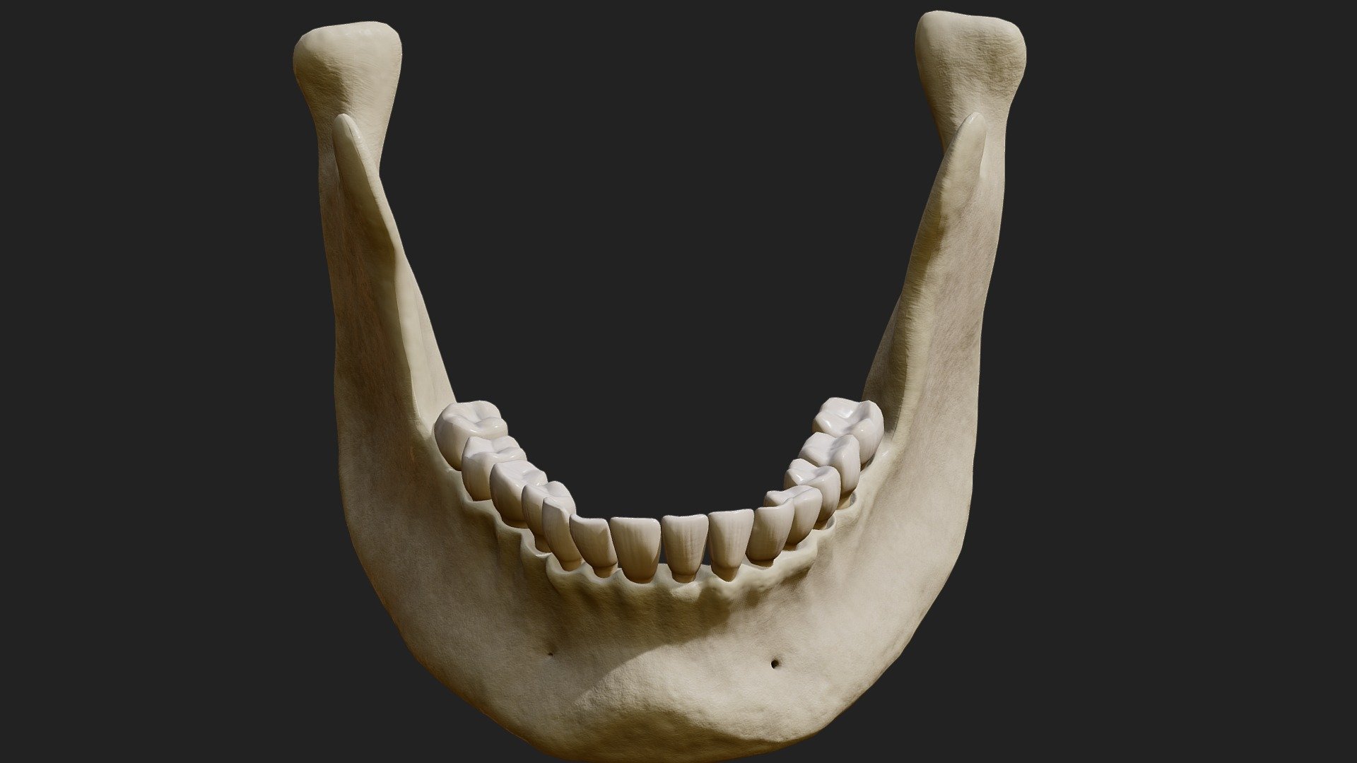 Buy Royalty Free 3D model by zames1992 [441e60a ... Biology Diagrams