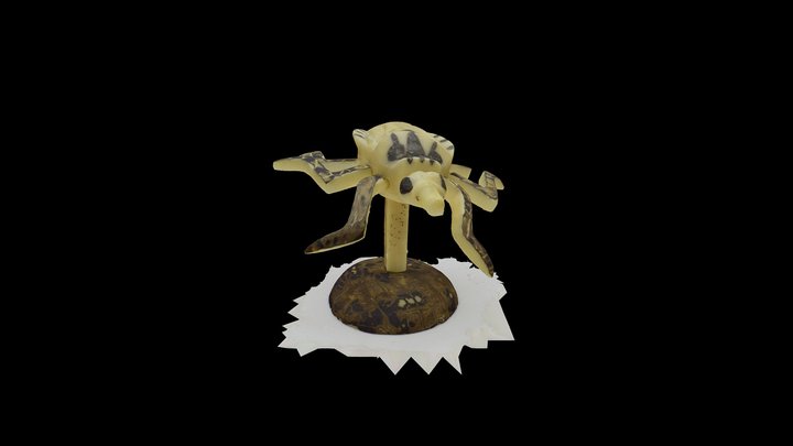 Tagua Triatomine 3D Model 3D Model