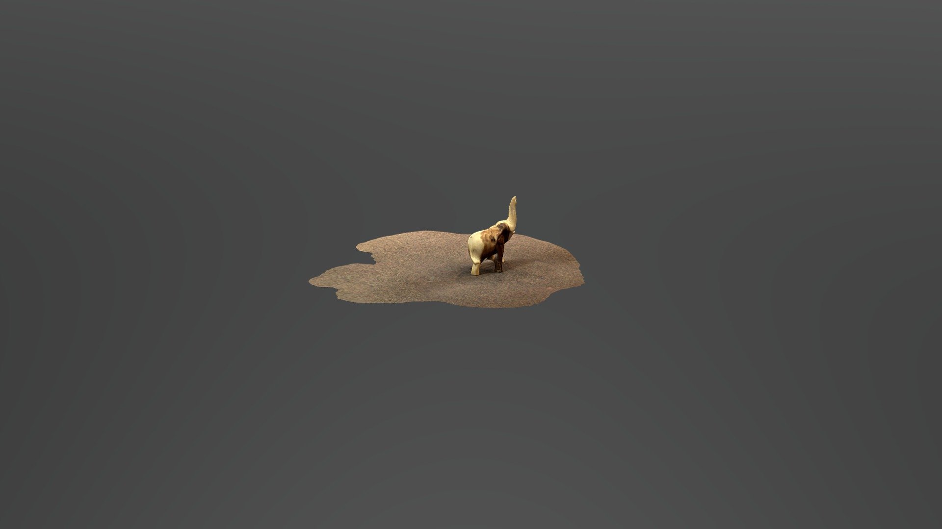 Elephant Whistle