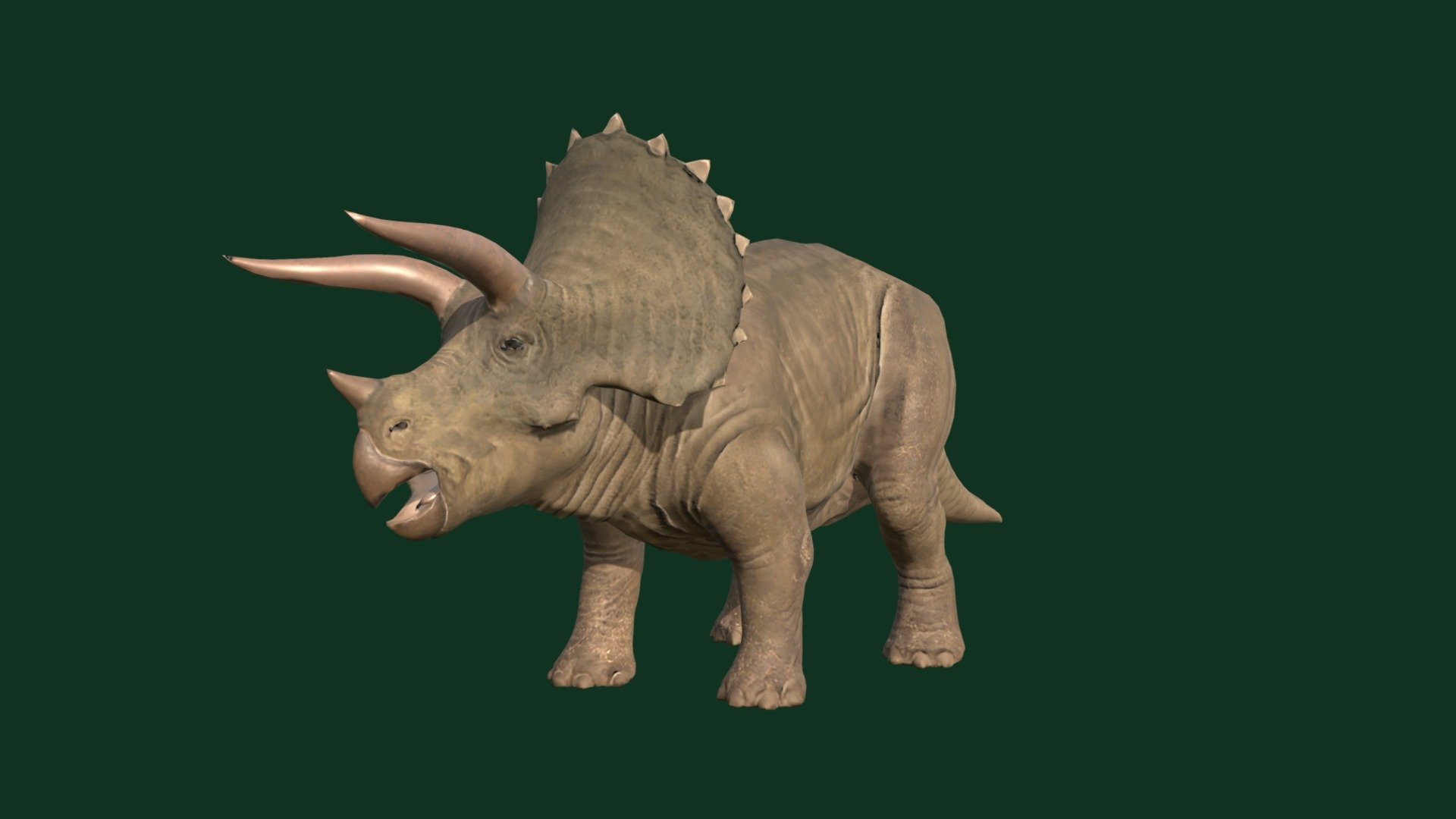 Triceratop - Download Free 3D model by kenchoo [4425e68] - Sketchfab