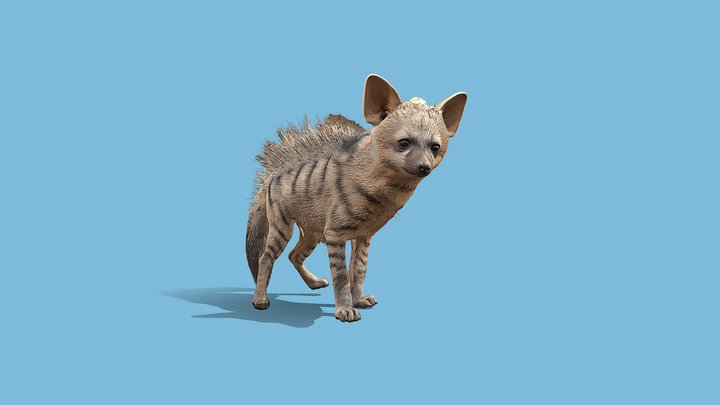 Aardwolf – Free 3D Model STL