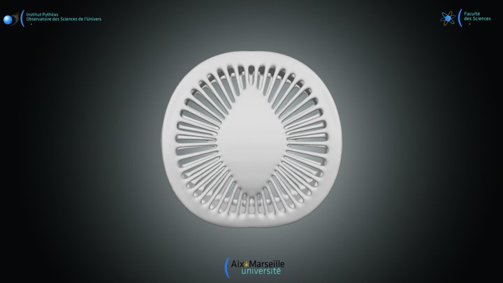 Diatomée pennale - Campylodiscus hibernicus 3D Model