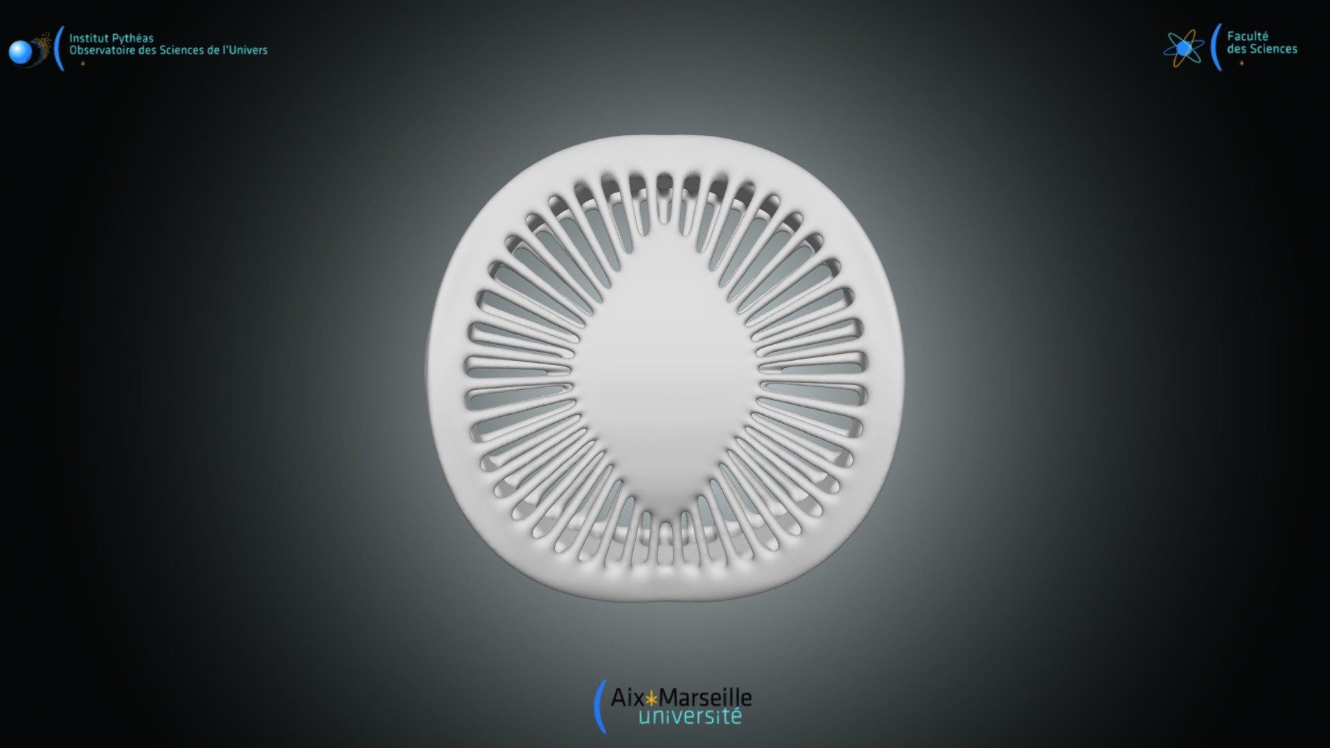 Diatomée pennale - Campylodiscus hibernicus — Sketchfab embed 3D viewer