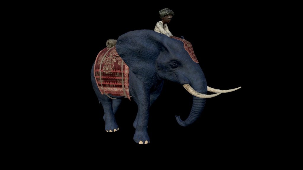 boy and elephant walking