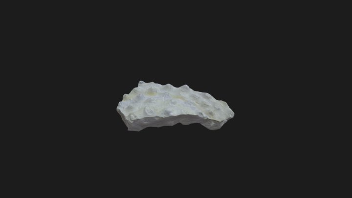 Specimen B 3D Model