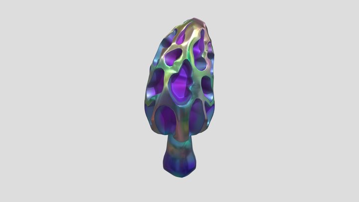 Morel 3D Model