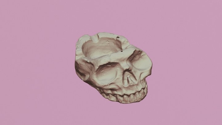 Skull 4 Flat 3D Model