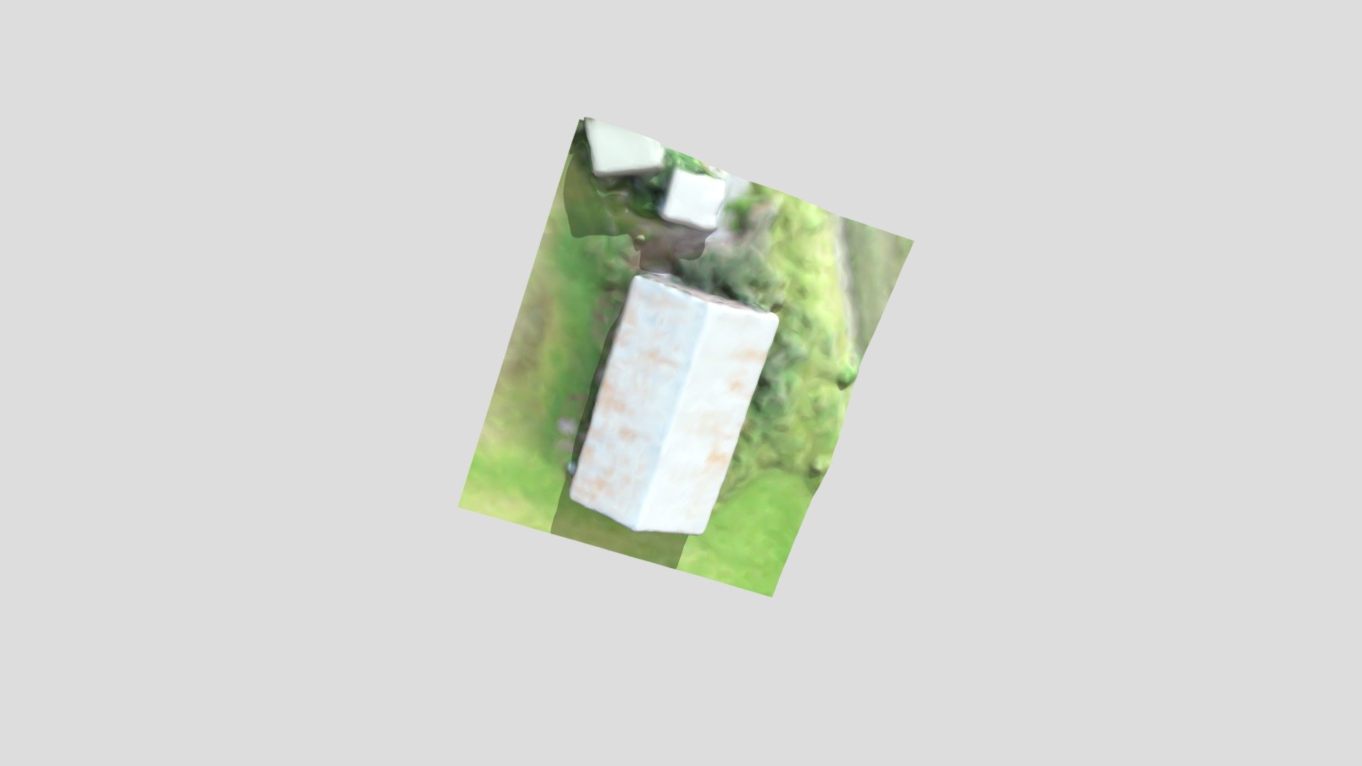 Uthus