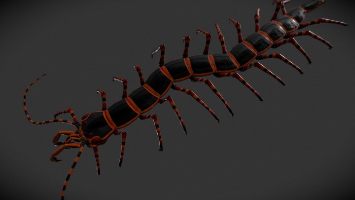 Mantis Centipede - Alternative colours 3D Model