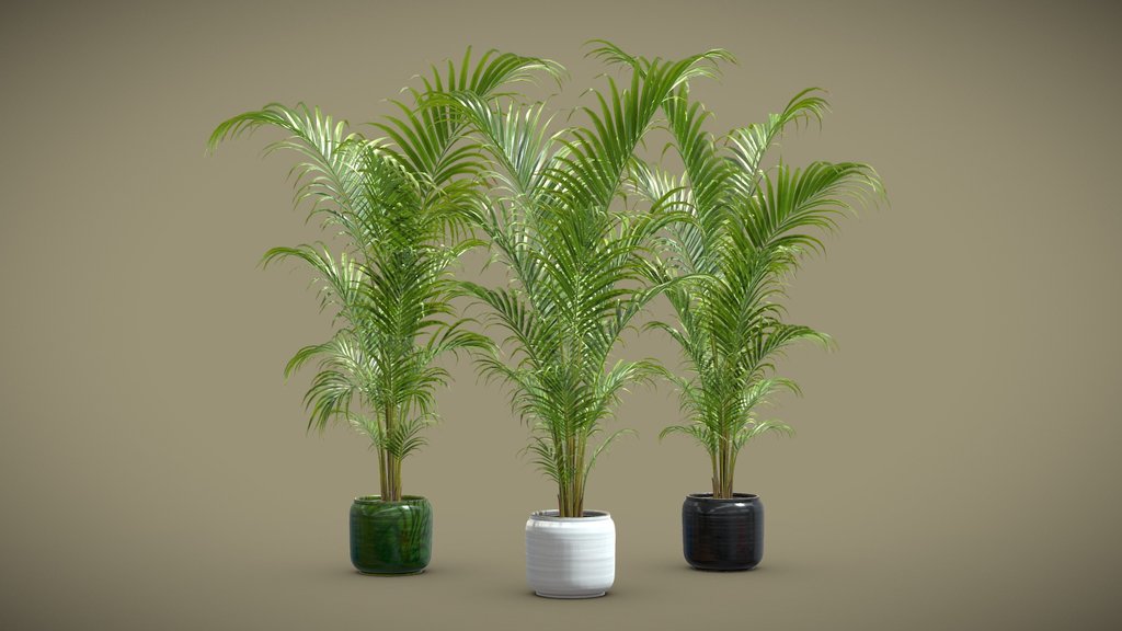 植物 A 3D model collection by kaomianjin Sketchfab
