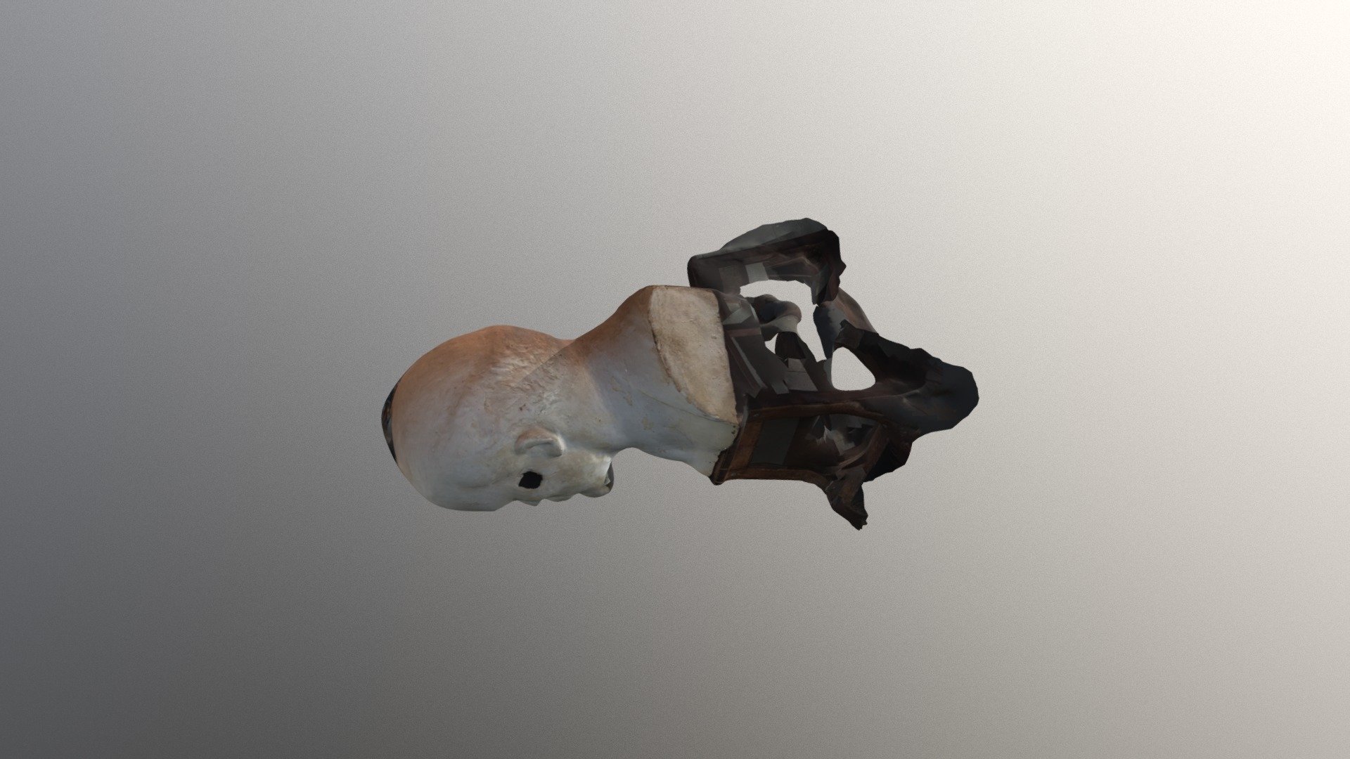 head