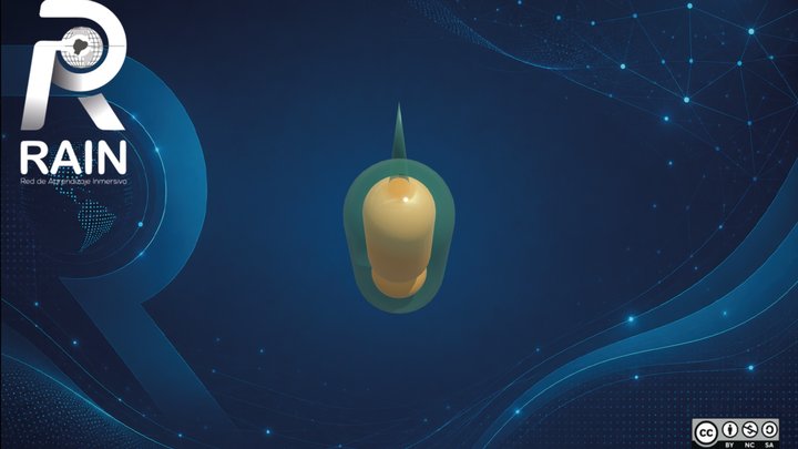 Bacteria Bacilar – Free 3D Model STL