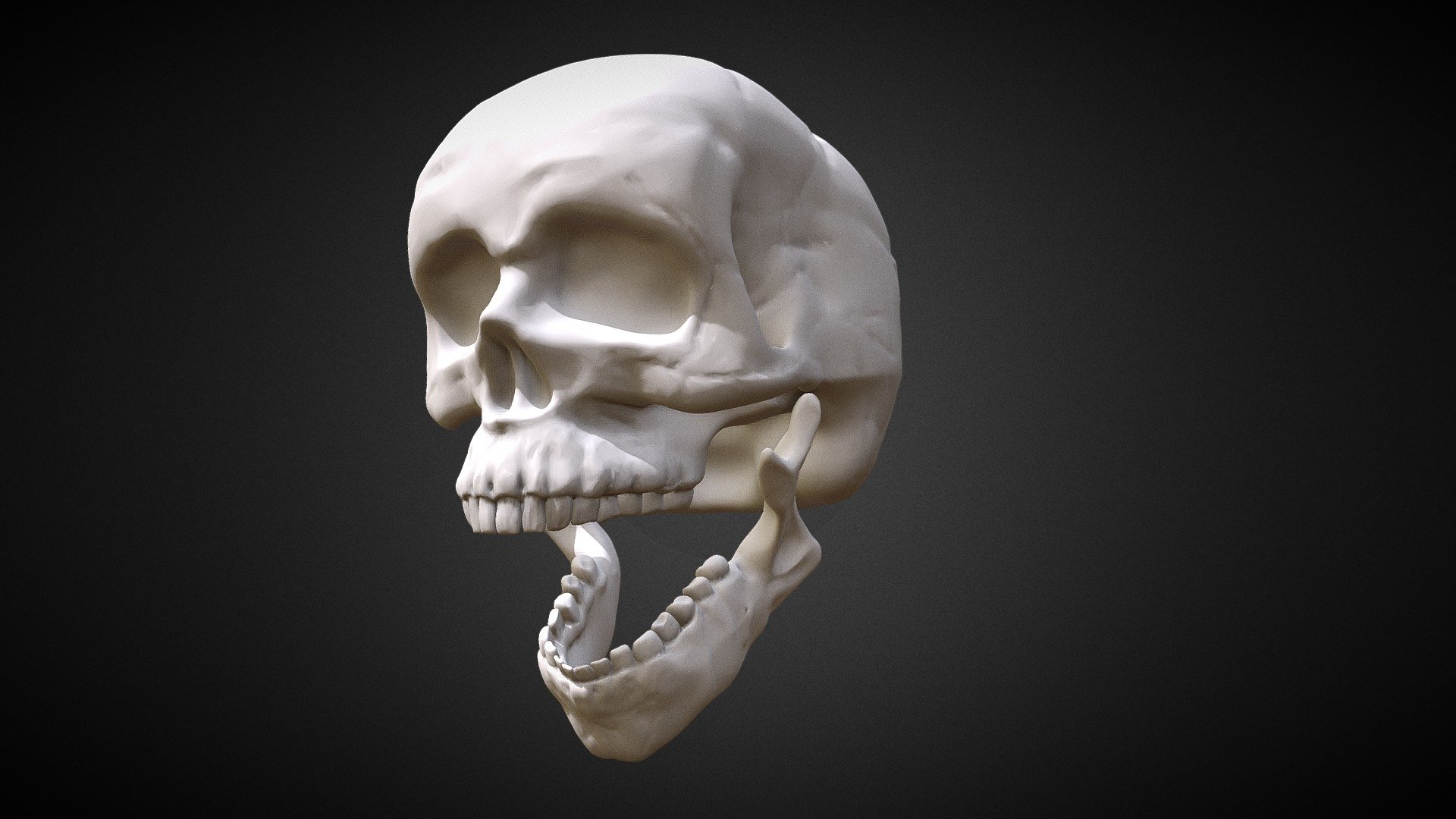 Free Human skull — Sketchfab embed 3D viewer