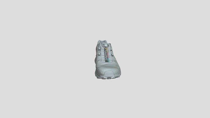 Free_ Salomon_XT6_ Sneaker_ Model 3D Model