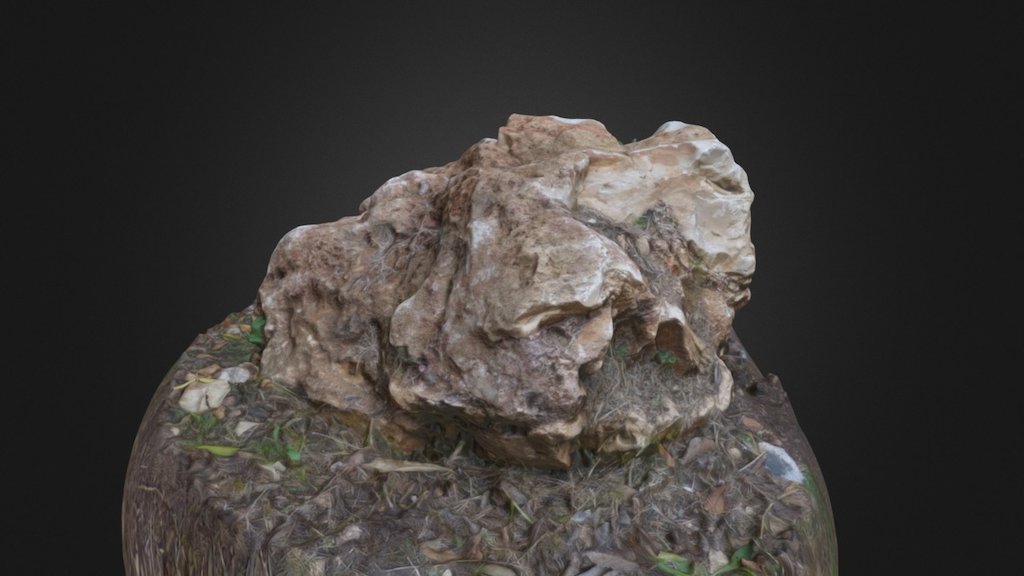 Photogrammetry Rock #1 [HP] - 3D model by pietz [444e09a] - Sketchfab