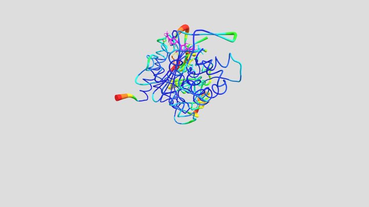 Penicillin-binding protein and Meropenem Ligand 3D Model