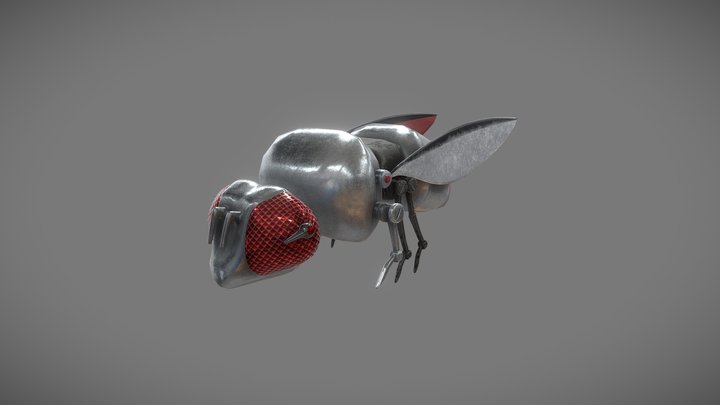 Robot Fly 3D Model