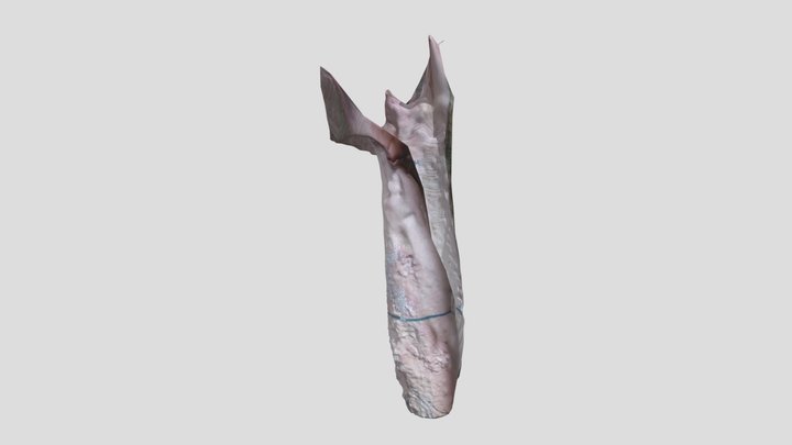 arm right 3D Model