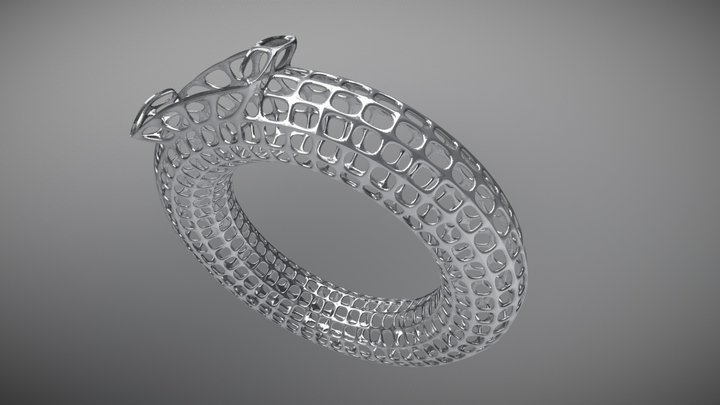 Ring Test 3D Model