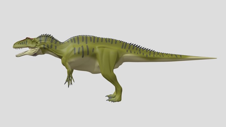 Siats 3D Model
