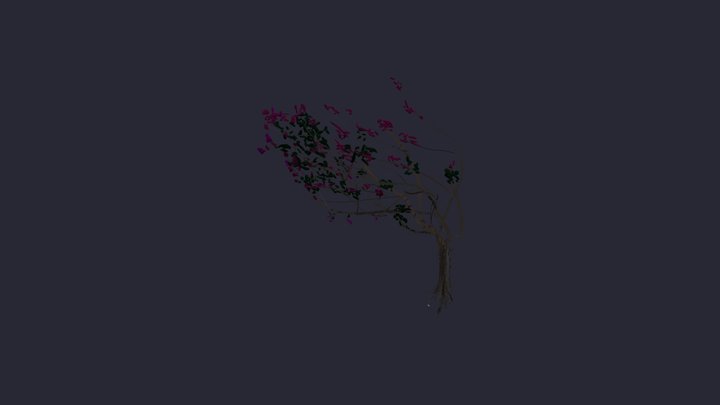 Hill Tract Tree 3D Model