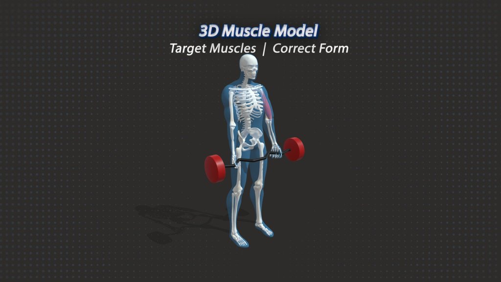 Fitness - A 3D model collection by Alexdubob - Sketchfab