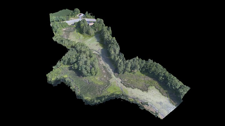 Beard's Creek Drawdown [2018-07-11] 3D Model