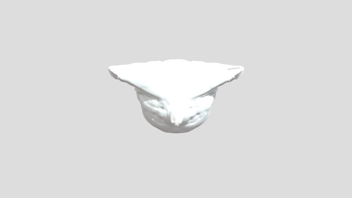 My model 3D Model