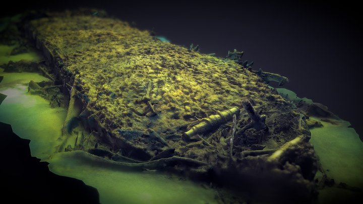Flint Shipwreck 3D Model
