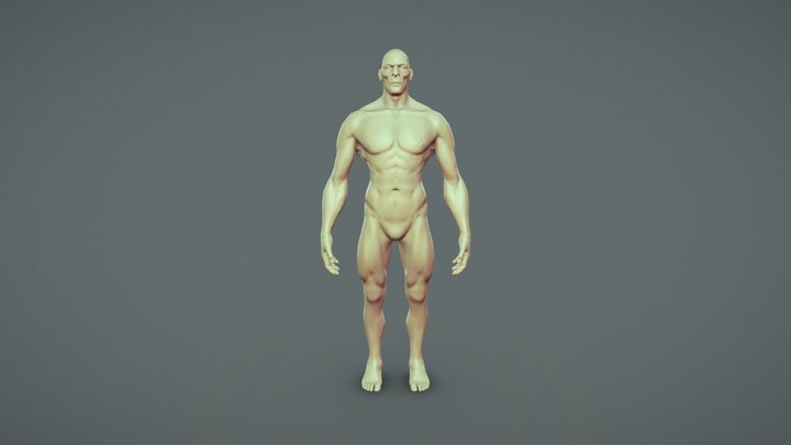 Stylized Average Male Base Mesh 3D Model