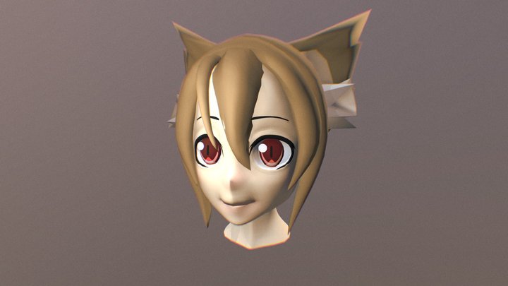 Silica Face 3D Model