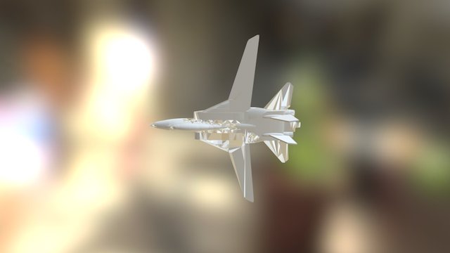 F-14 Tomcat 3D Model