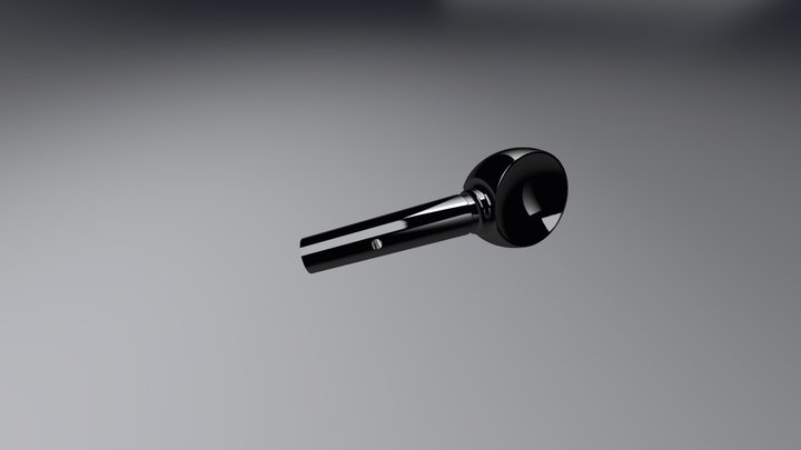 cheville 3D Model