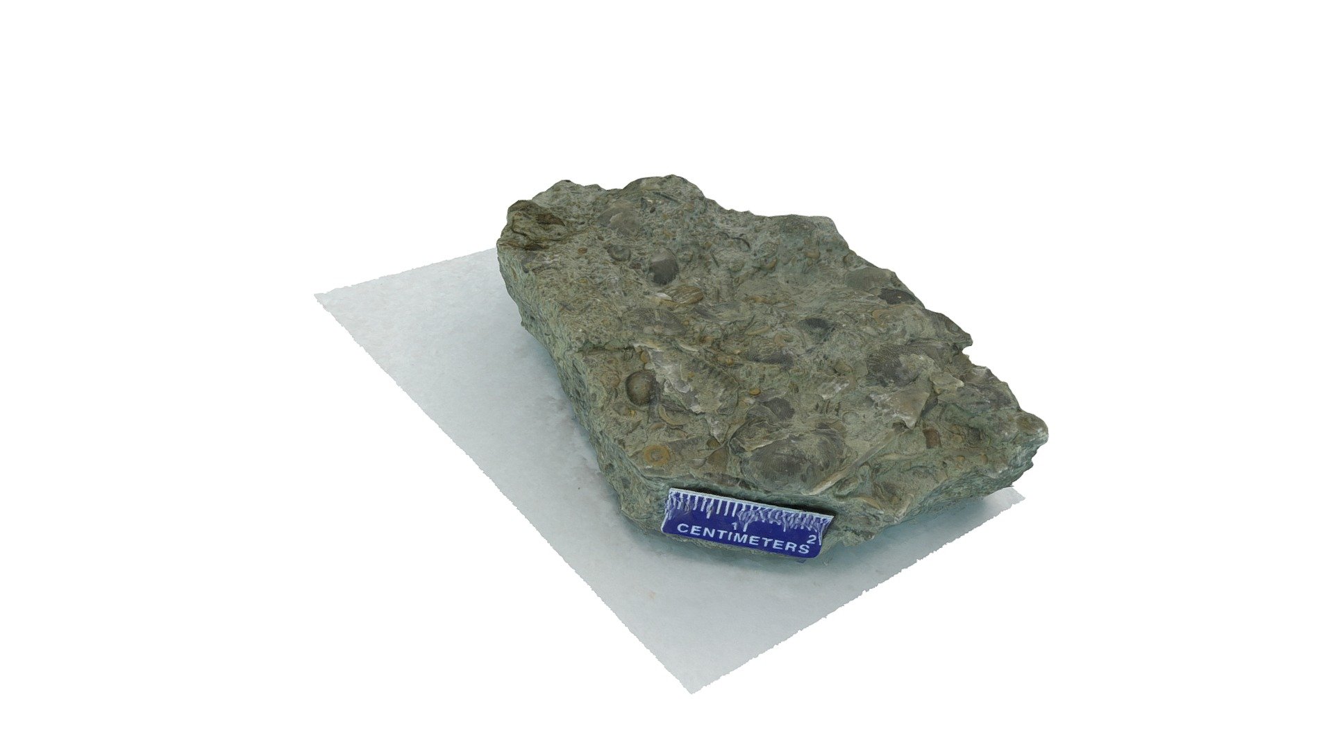Sedimentary sample 21