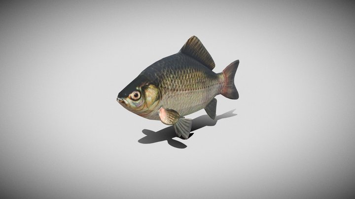 Fish 3D Model