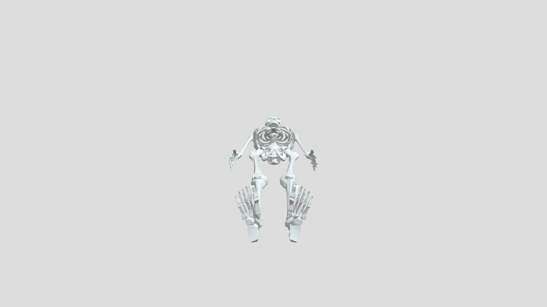 Skeleton