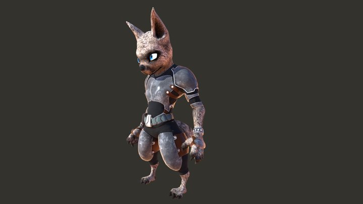 "Darragh" the Raccoon 3D Model