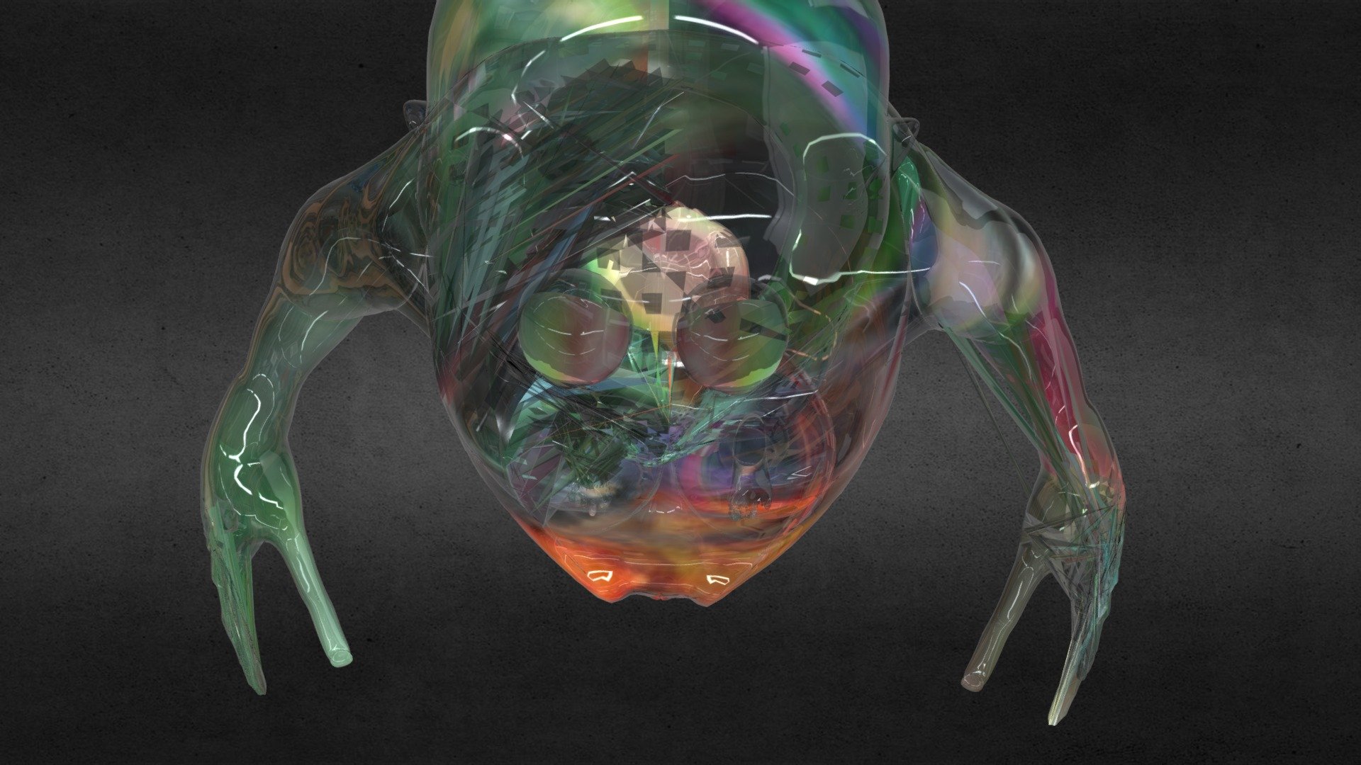 bb anatomy