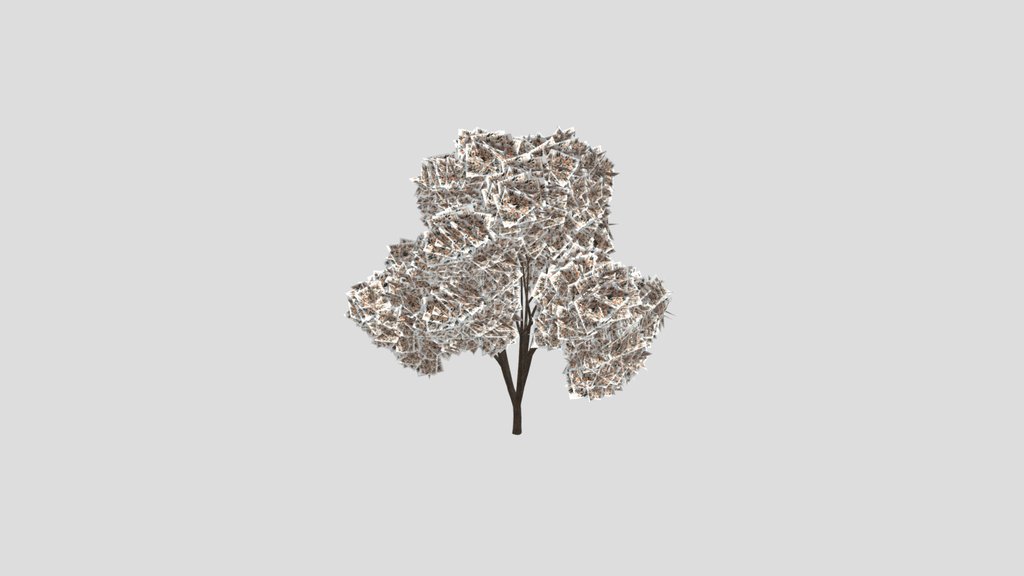 White Flowered Light Green Leaved Tree