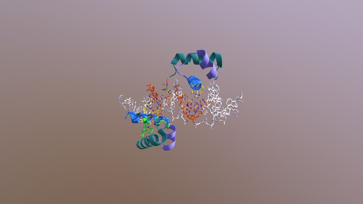 DNA binding mechanisms of TRF1 3D Model