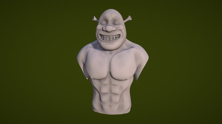 Shrek fit 3D Model