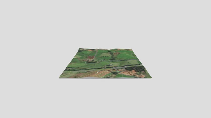 novo 3D 3D Model