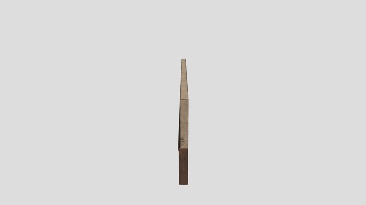 Pared Manicomio 3D Model