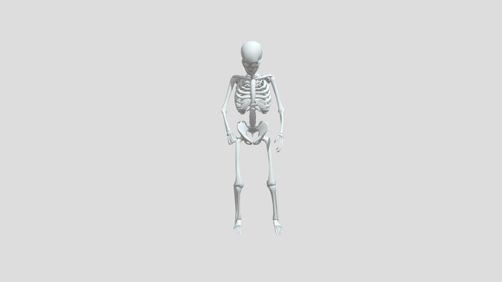 骷髅骨架 - PBR - 动画 3D Model