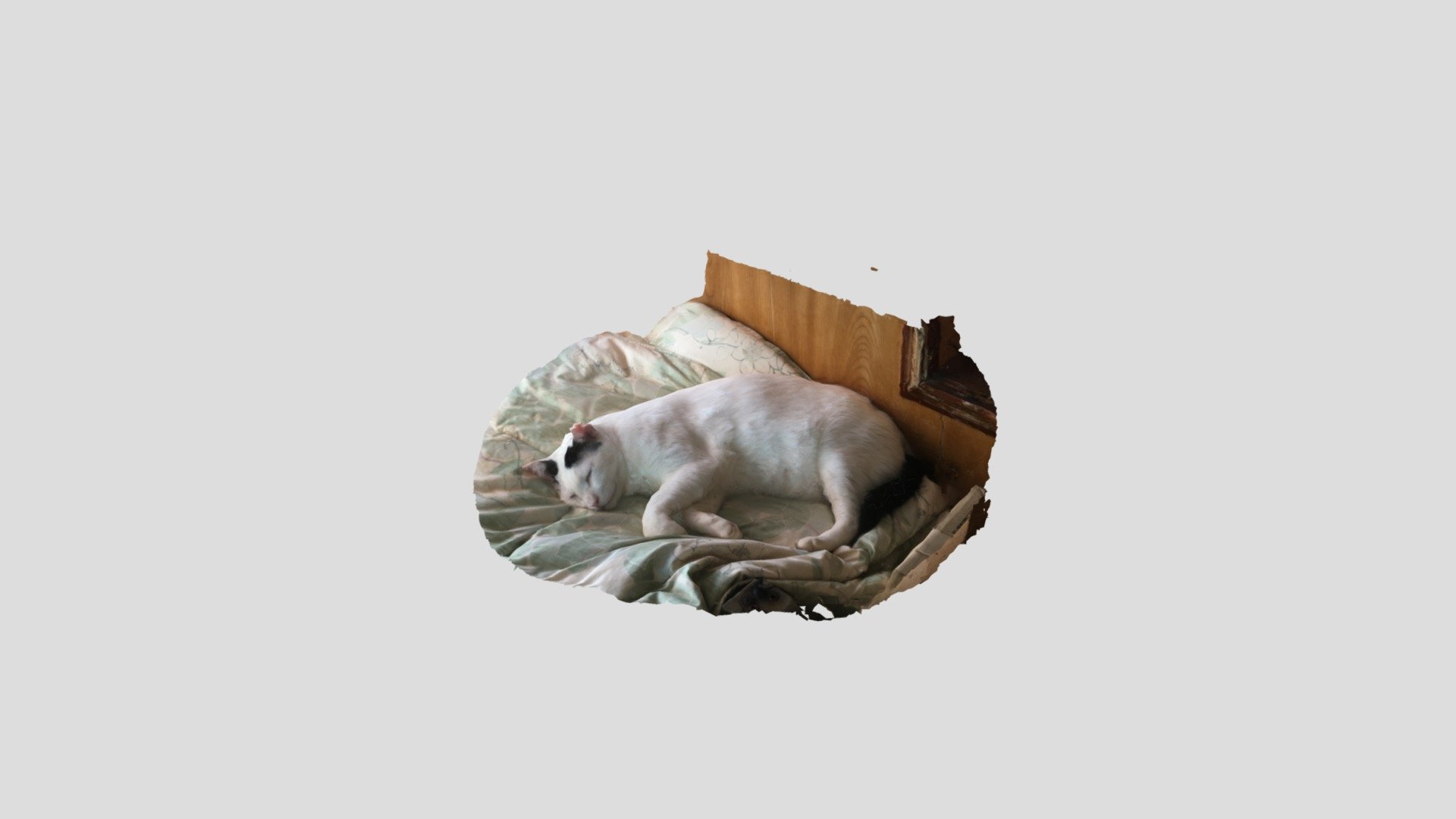 jugem